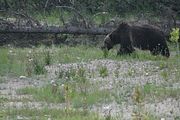 150 - Banff,Lake Louise,Morraine Lake  - IMG_0834